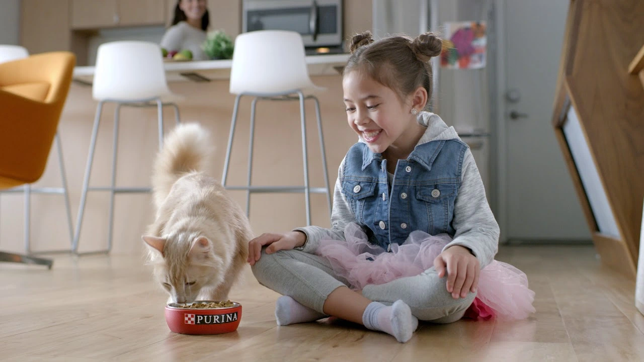 Natural Cat Food Brands by Purina
